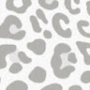 Meet your Posher, Lilly